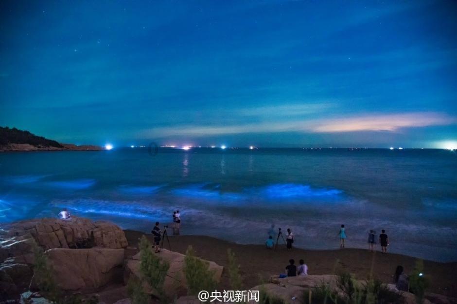 阴暗森林