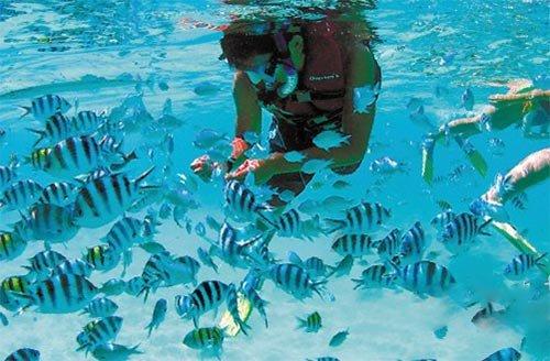 浙江能够曝光农民工拿不到工资的节目？游戏画面