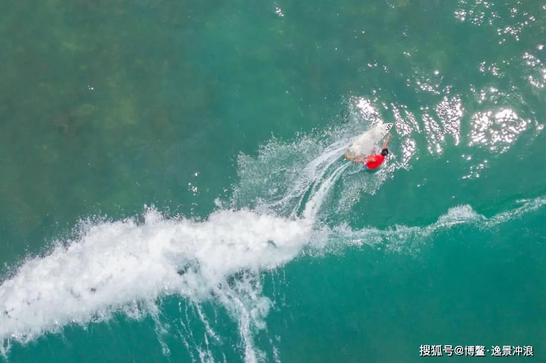 让动物飞一会